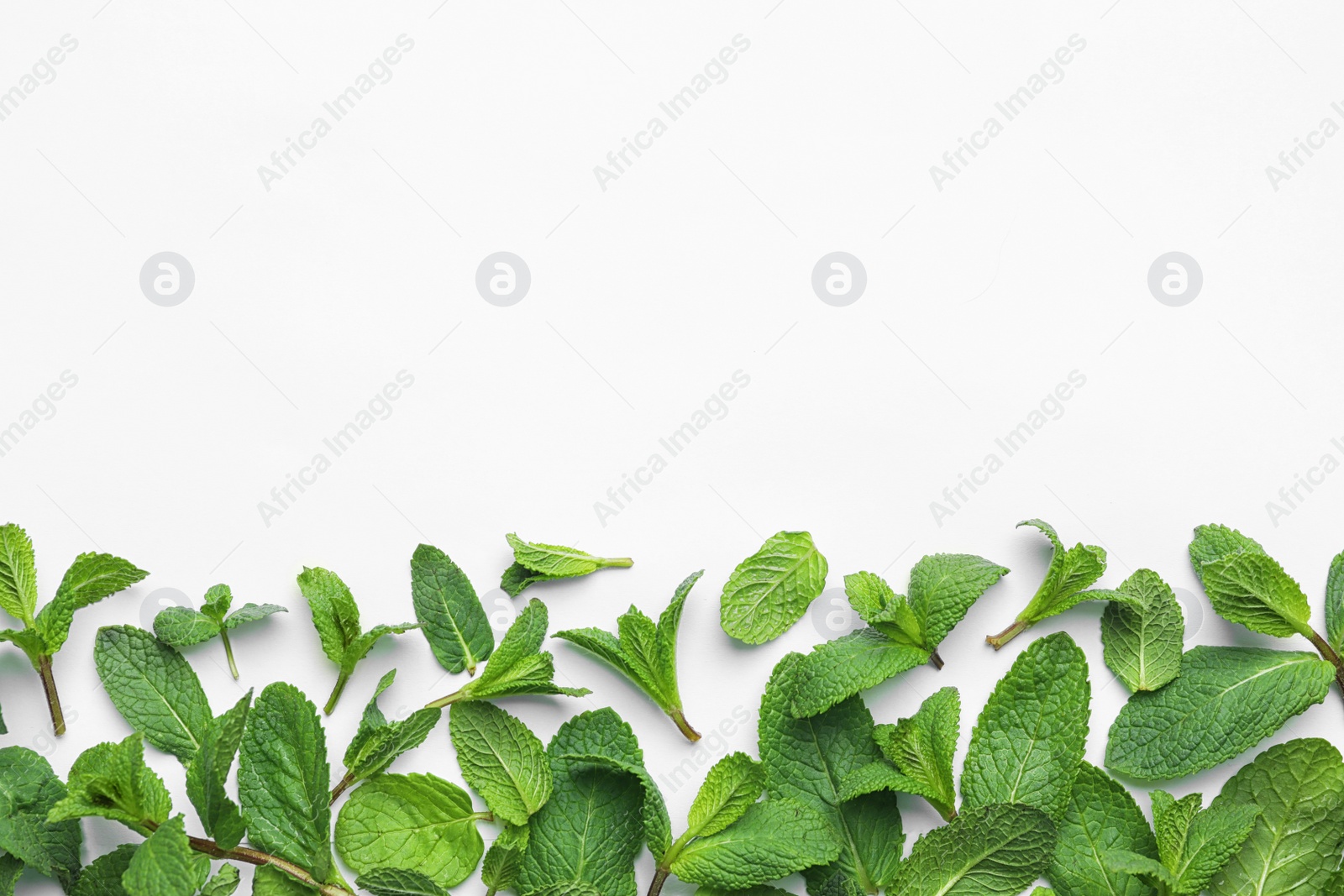 Photo of Fresh green mint leaves on white background, top view