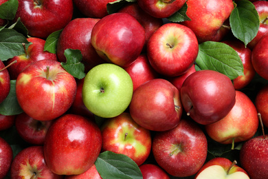 Photo of Tasty red apples and green one as background, top view