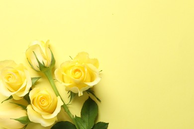 Beautiful roses on yellow background, flat lay. Space for text