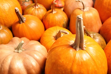 Photo of Many fresh raw whole pumpkins as background, closeup. Holiday decoration