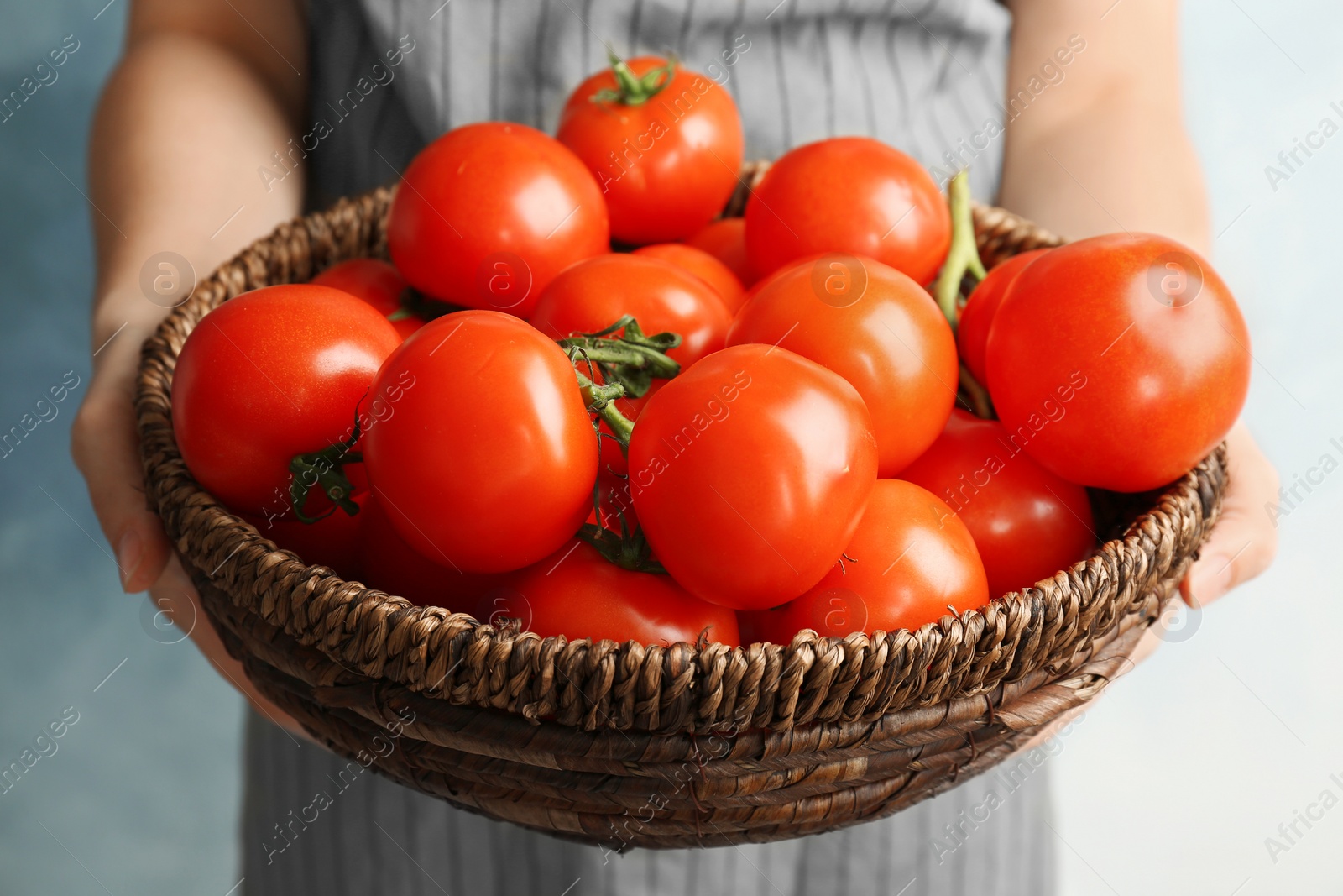 Photo of Woman holding wicker bowl with ripe tomatoes, closeup