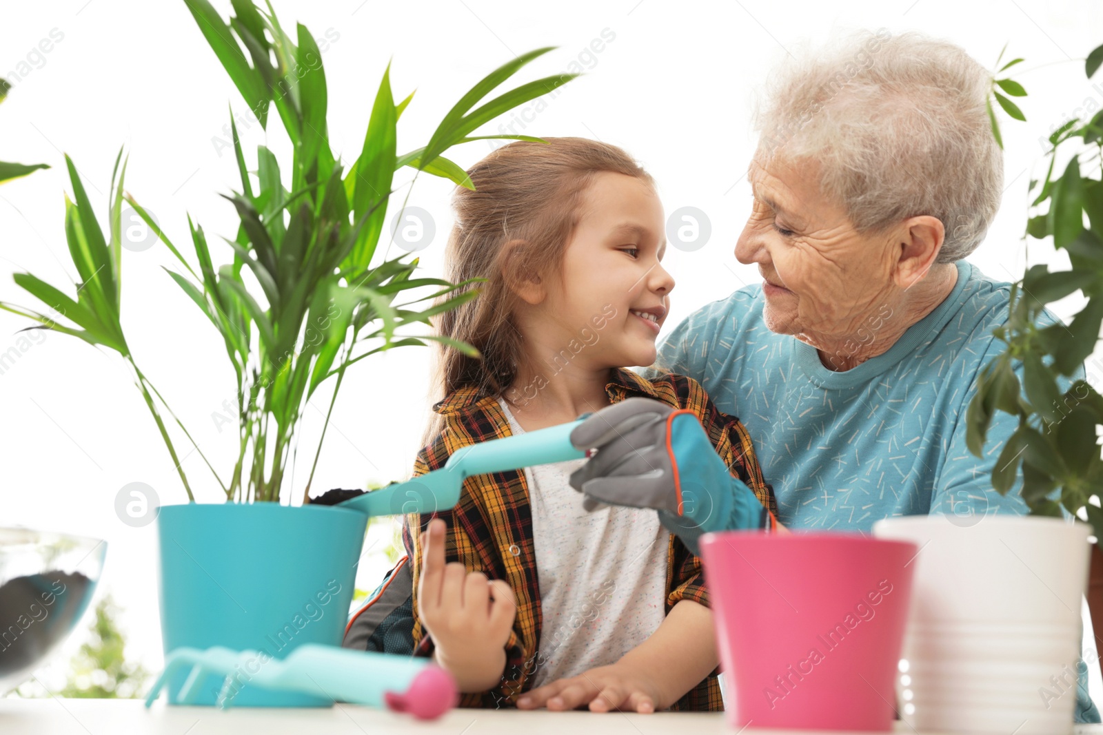 Photo of Little girl and her grandmother taking care of plants indoors