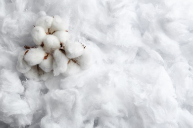 Fluffy flowers and space for text on cotton, view from above