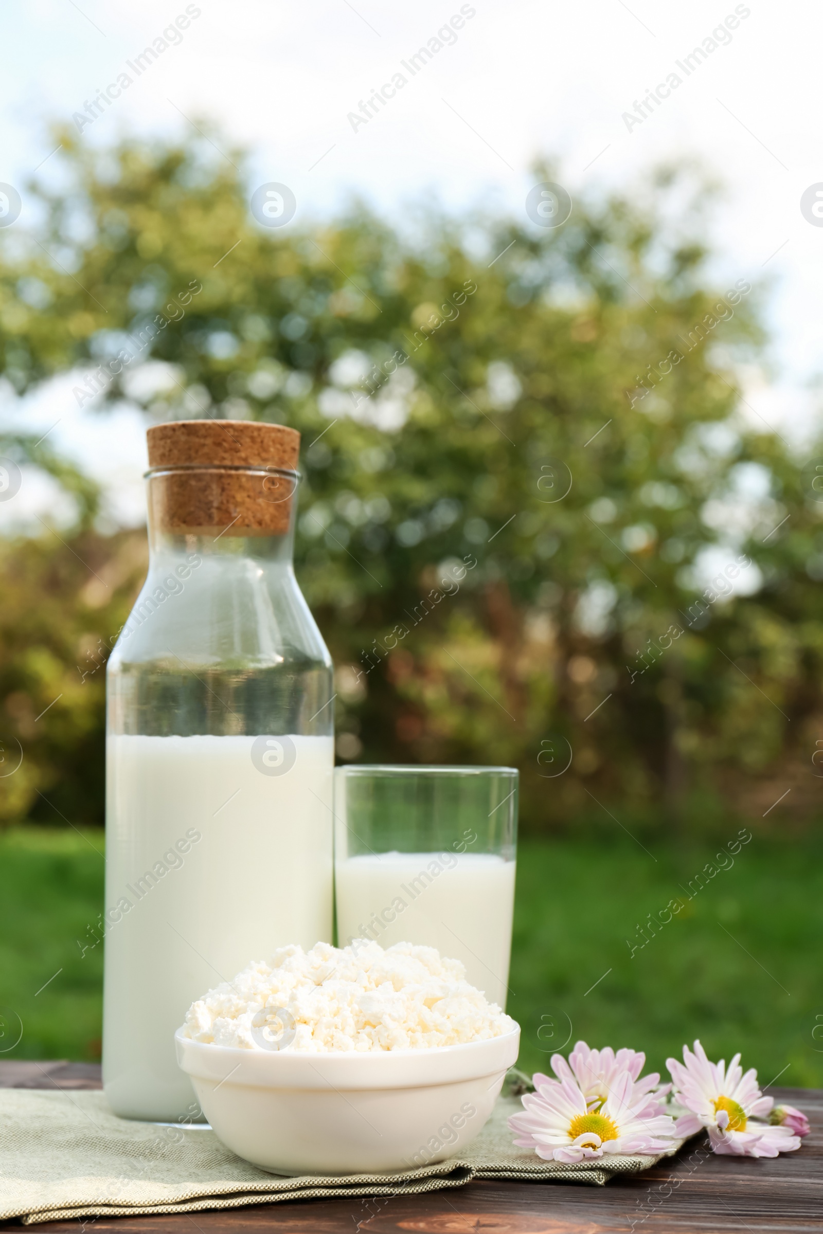 Photo of Tasty fresh milk and cottage cheese on wooden table outdoors