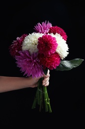 Woman holding beautiful dahlia flowers on black background, closeup