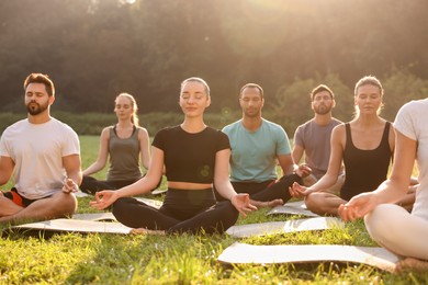 Photo of Group of people practicing yoga in park on sunny day. Lotus pose