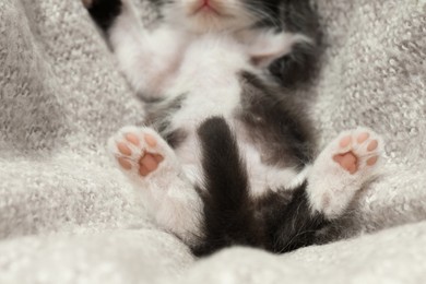 Photo of Cute baby kitten with funny tail sleeping on cozy blanket, closeup