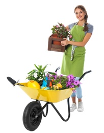 Photo of Female gardener with wheelbarrow and plants on white background
