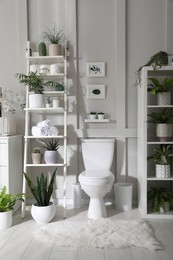 Photo of Stylish bathroom interior with toilet bowl and many beautiful houseplants