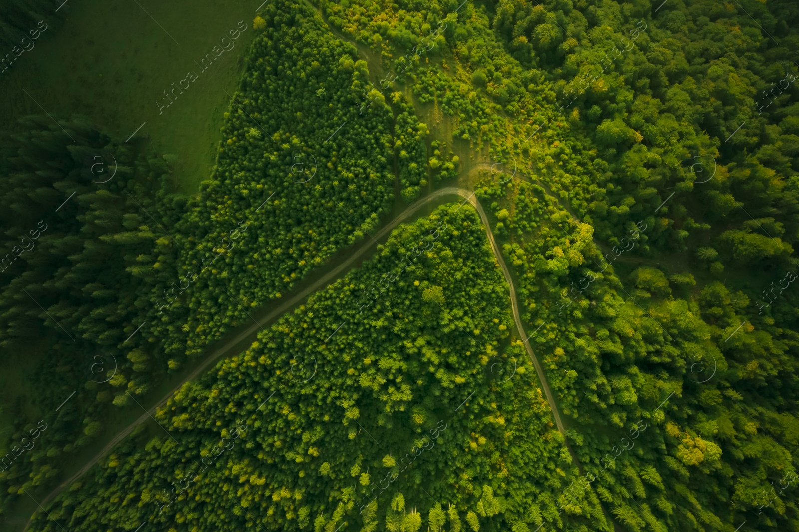 Image of Aerial view of road surrounded by forest with beautiful green trees