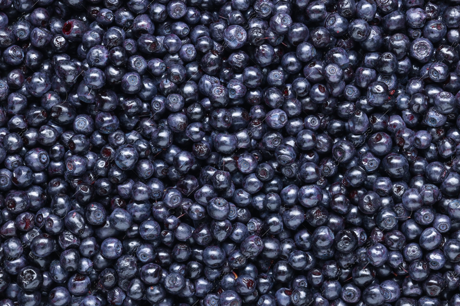 Photo of Many tasty fresh bilberries as background, top view