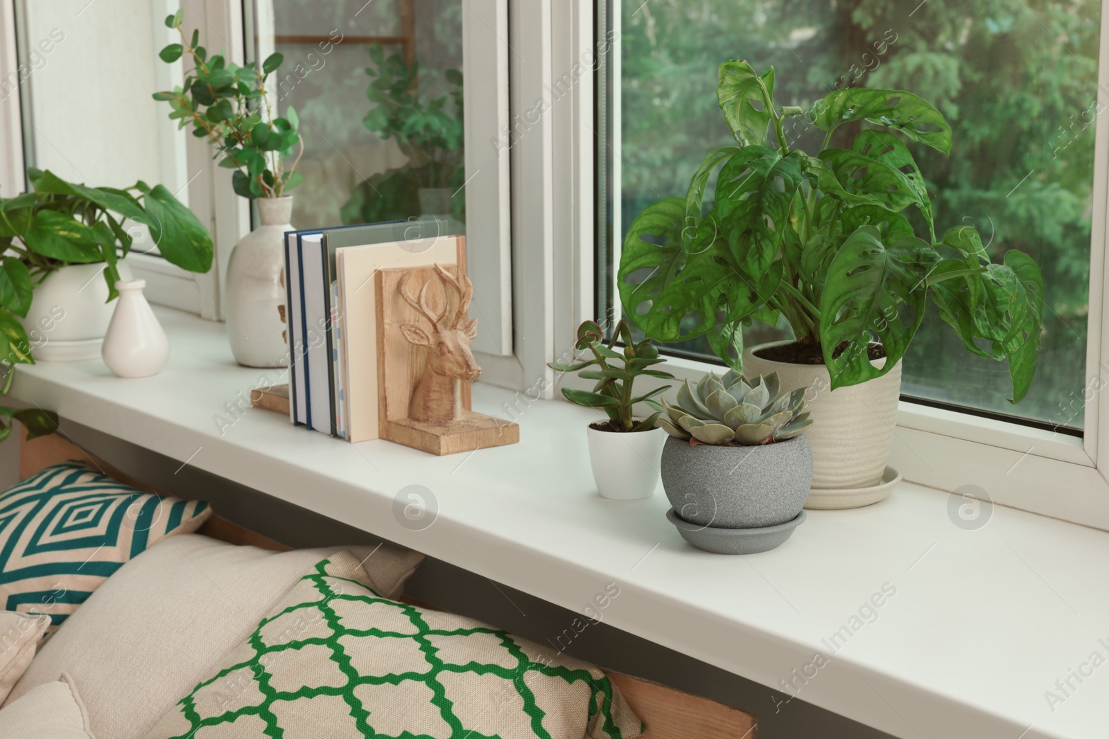 Photo of Many beautiful house plants on windowsill indoors. Home design idea