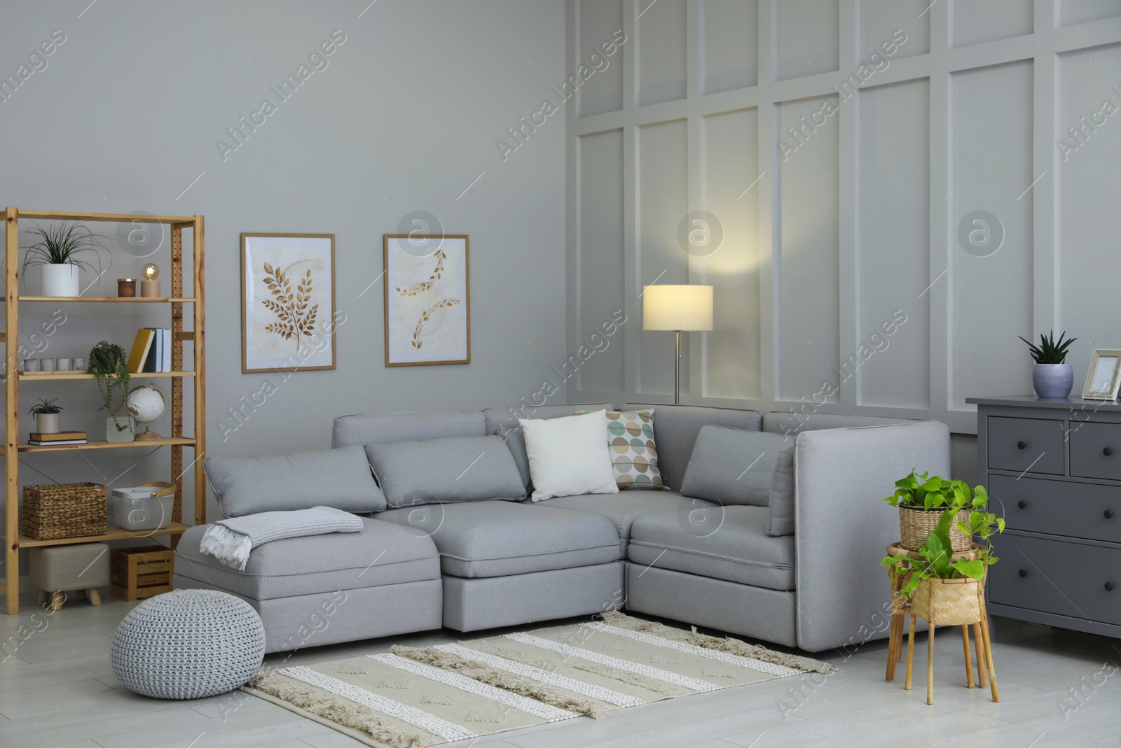 Photo of stylish living room interior with comfortable grey sofa and plants