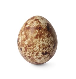 Photo of One speckled quail egg isolated on white