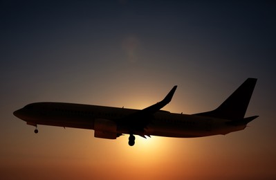 Image of Plane in sky against sun. Flight during sunset