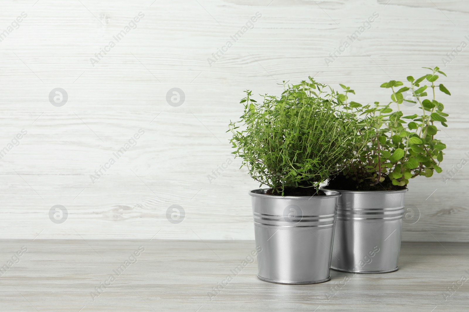 Photo of Different aromatic potted herbs on light table against white wooden background. Space for text