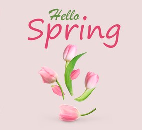 Image of Hello Spring card. Beautiful tulips on light grey background