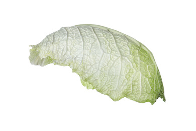 Photo of Green leaf of savoy cabbage isolated on white