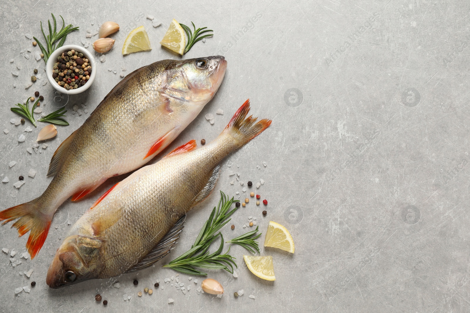 Photo of Fresh raw perches and ingredients on light grey 
 marble table, flat lay with space for text. River fish