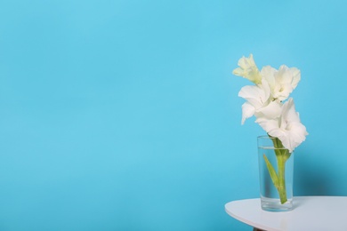 Photo of Vase with beautiful gladiolus flowers on wooden table against blue background. Space for text