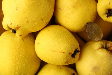 Tasty ripe quince fruits with water drops as background, top view