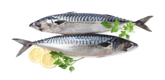 Mackerel fish with parsley and lemon on white background, top view