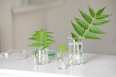 Laboratory glassware with plants on white table