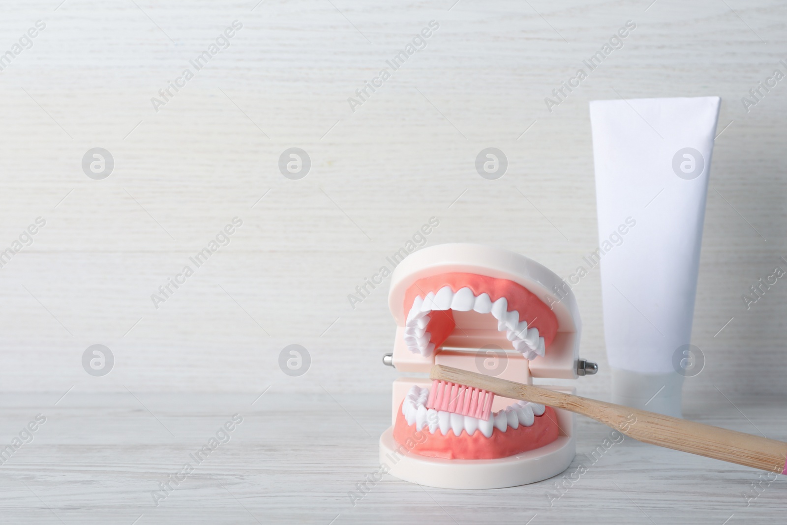 Photo of Model of jaw with teeth, toothbrush and paste on white wooden table. Space for text