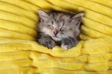 Photo of Cute kitten sleeping in soft yellow blanket, top view