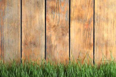 Photo of Fresh green grass near wooden fence. Space for text