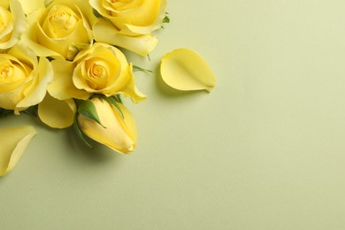 Beautiful yellow roses and petals on light olive background, flat lay. Space for text