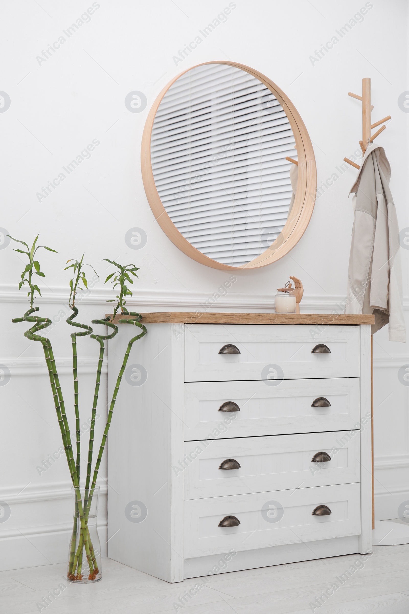 Photo of Hallway interior with Lucky bamboo and wooden furniture