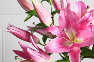 Photo of Beautiful pink lily flowers on light background, closeup