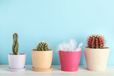 Pots with cacti and one with feathers on table against color background