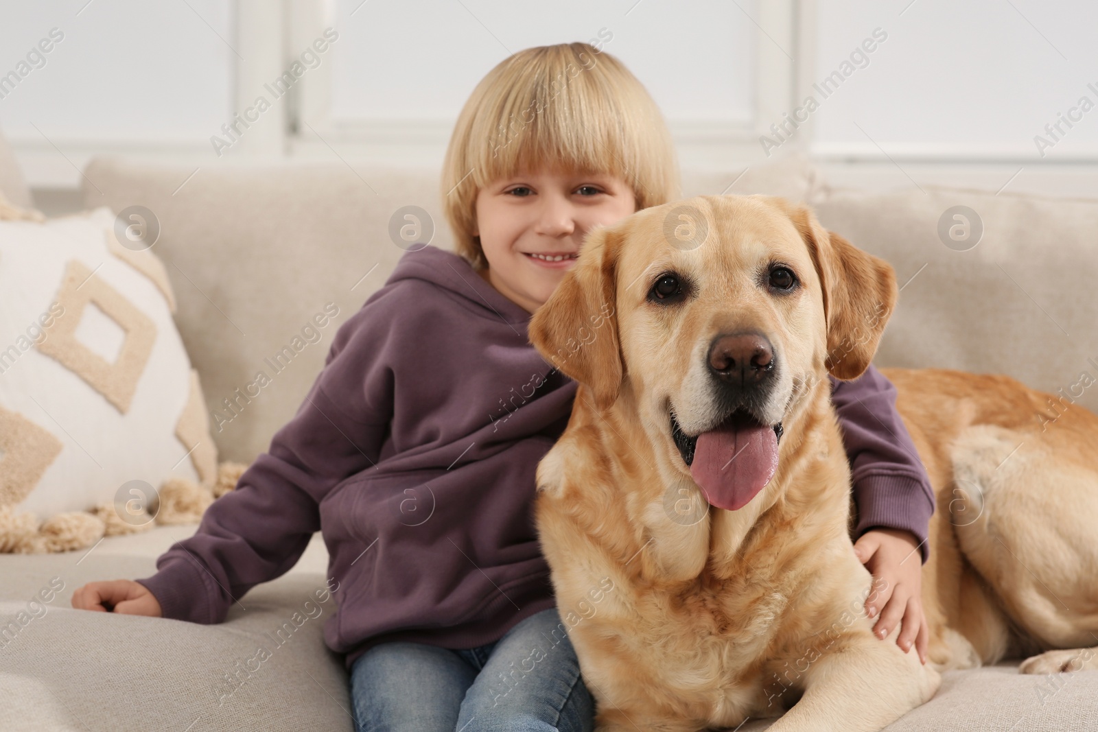 Photo of Cute little child with Golden Retriever on sofa at home. Adorable pet