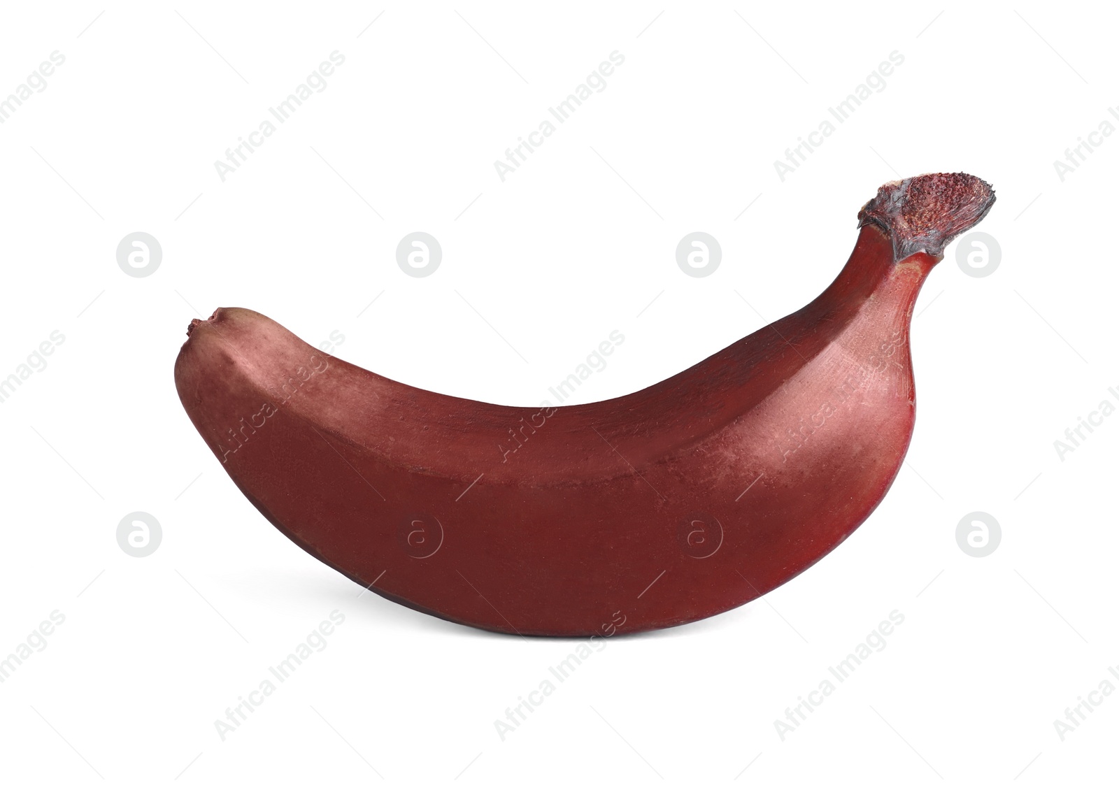 Photo of Tasty red baby banana isolated on white