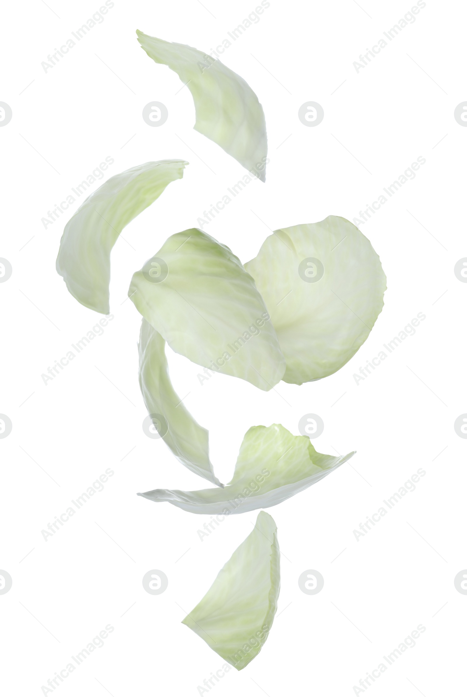 Image of Fresh cabbage leaves falling on white background