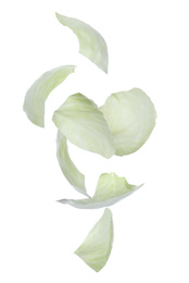 Fresh cabbage leaves falling on white background