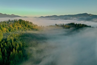 Photo of Aerial view of beautiful landscape with misty forest in mountains