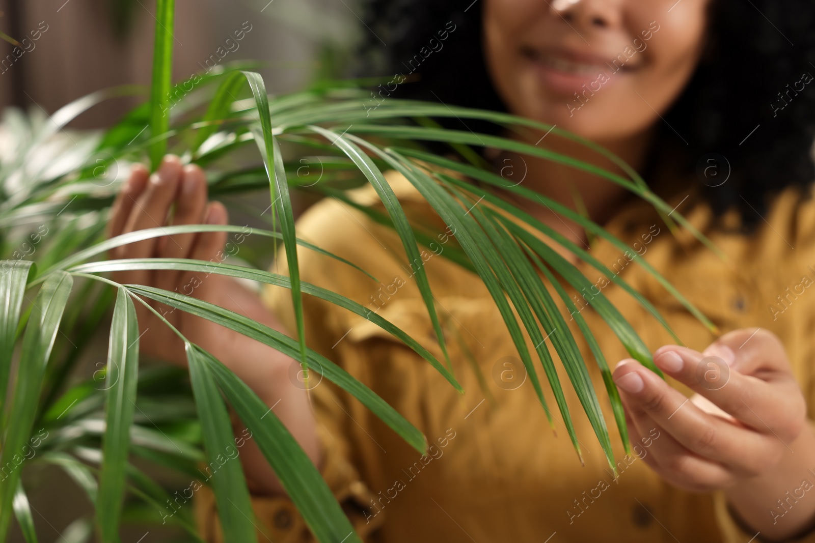 Photo of Relaxing atmosphere. Happy woman with beautiful houseplant, focus on leaves