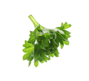 Fresh green curly parsley on white background