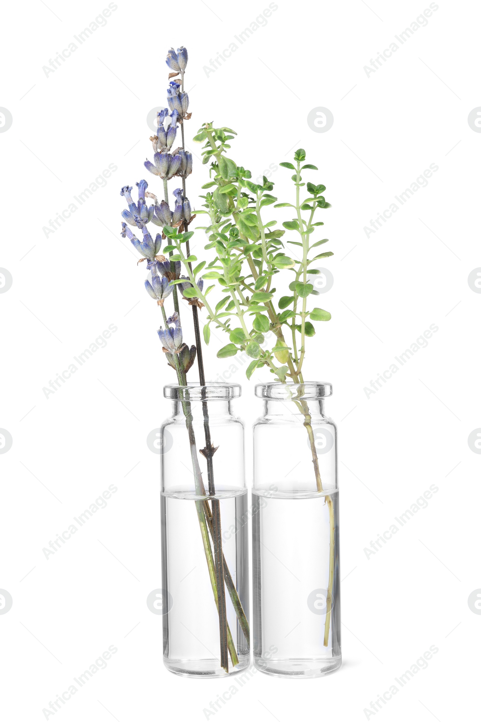 Photo of Bottles with essential oils, lavender and thyme isolated on white