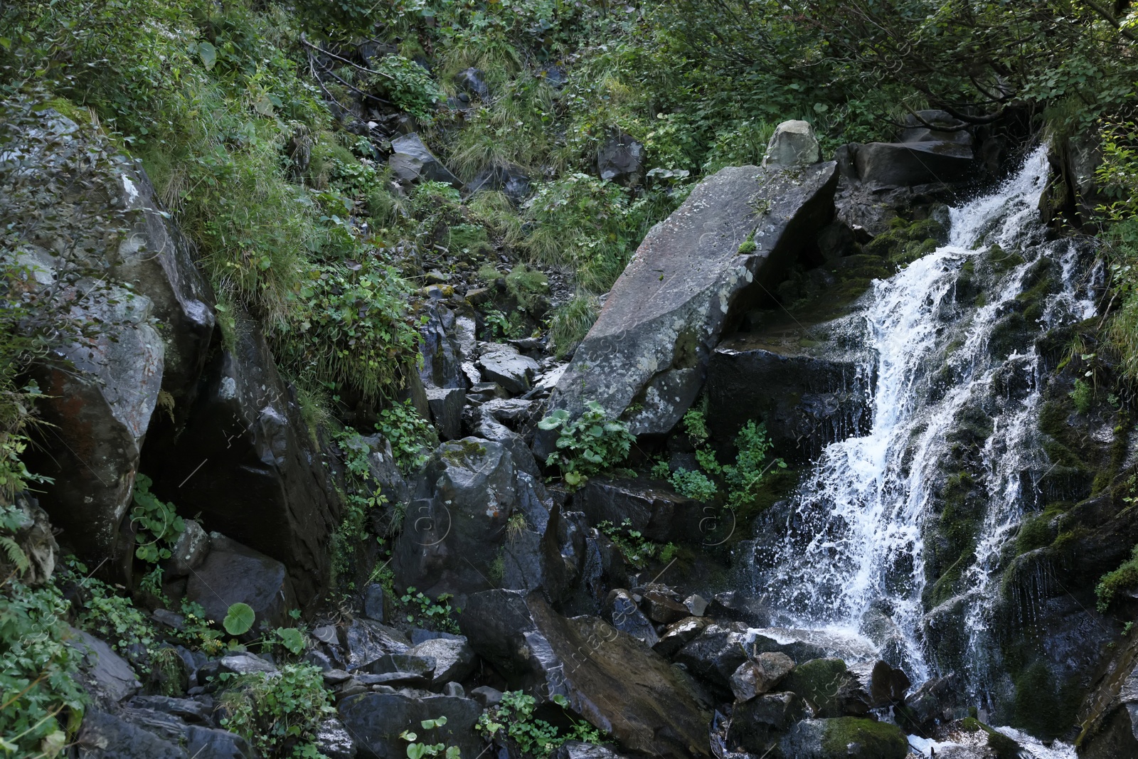 Photo of Picturesque view of mountain waterfall and green plants