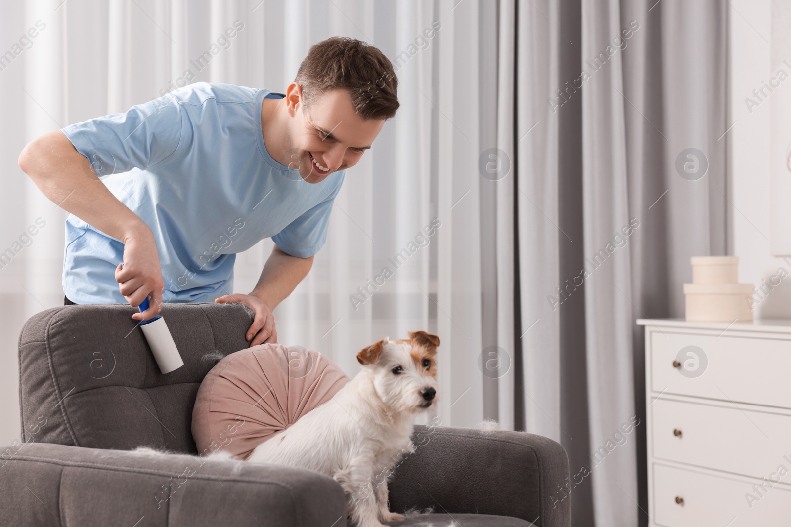 Photo of Smiling man removing pet's hair from armchair at home. Space for text