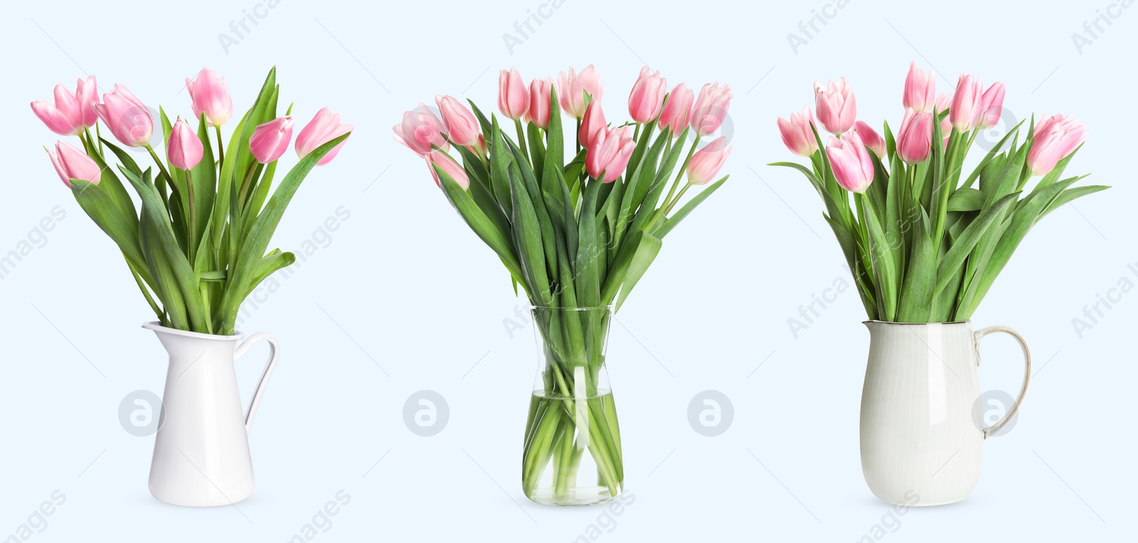 Image of Collage of stylish vases with beautiful tulip bouquets on light background. Banner design