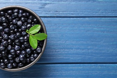 Tasty fresh bilberries with green leaves in bowl on blue wooden table, top view. Space for text