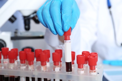 Laboratory worker taking test tube with blood sample from rack for analysis, closeup