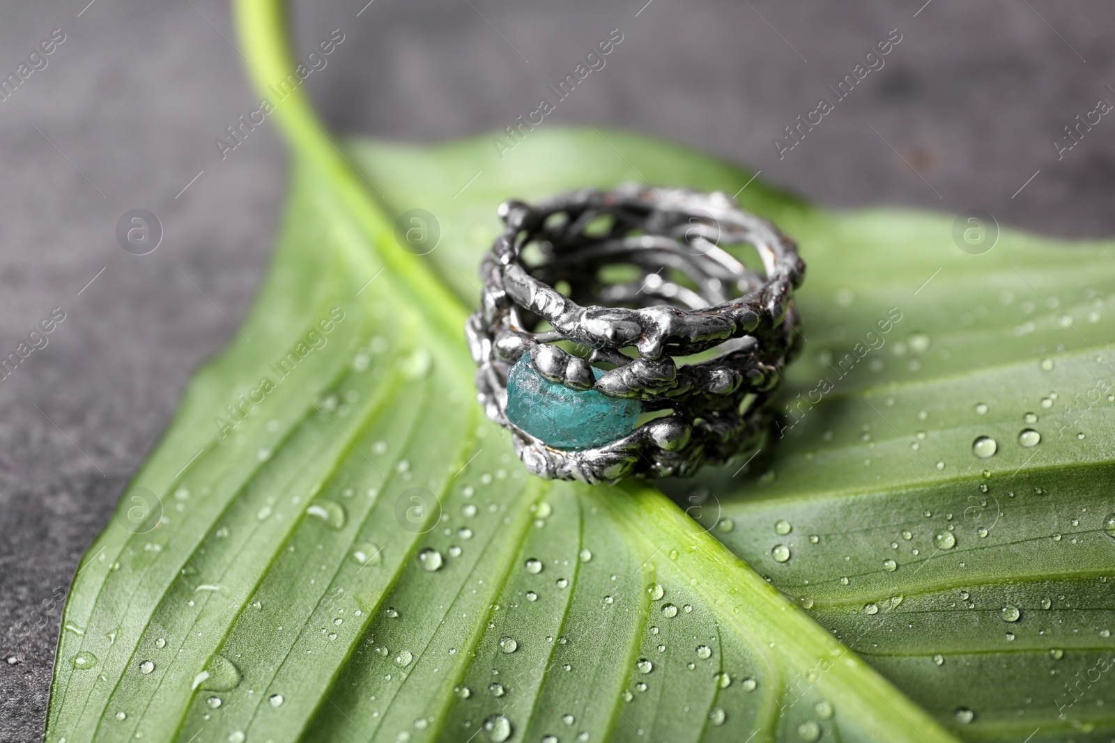 Photo of Beautiful silver ring with apatite gemstone on green leaf, closeup