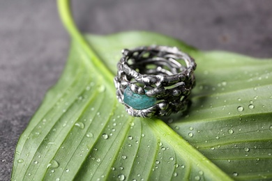 Photo of Beautiful silver ring with apatite gemstone on green leaf, closeup