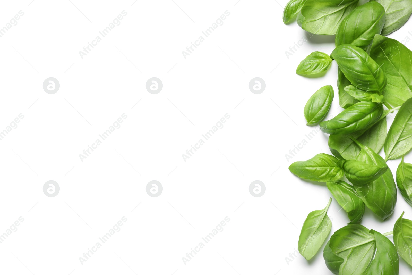 Photo of Fresh green basil leaves on white background, top view